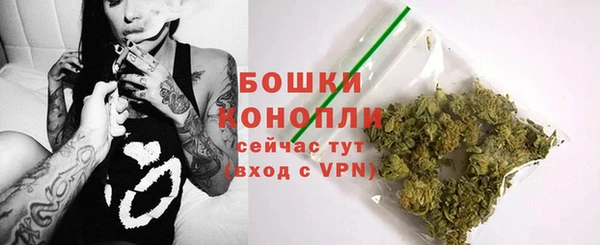 прущие грибы Новокубанск