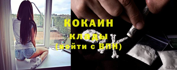 стафф Новозыбков