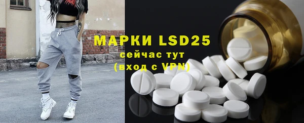 стафф Новозыбков