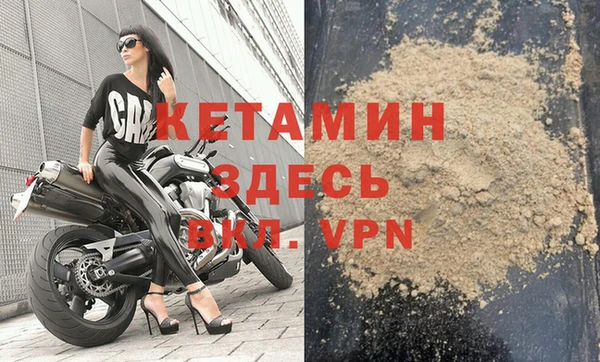 прущие грибы Новокубанск