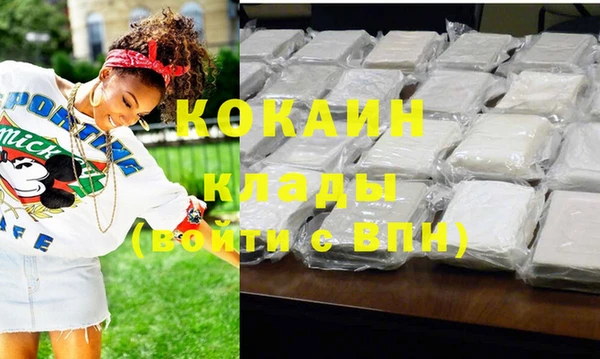 стафф Новозыбков