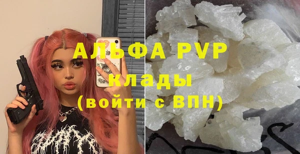 стафф Новозыбков