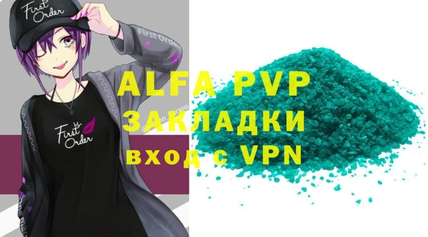 стафф Новозыбков