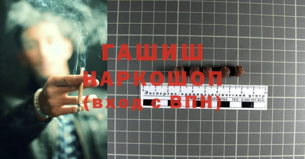стафф Новозыбков