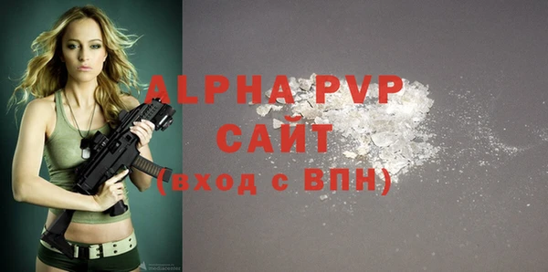 прущие грибы Новокубанск