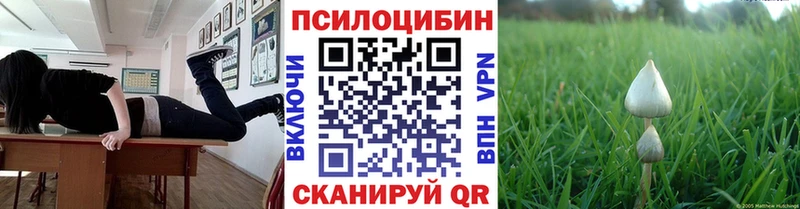 Псилоцибиновые грибы MAGIC MUSHROOMS  дарнет шоп  дарк нет как зайти  Отрадный 
