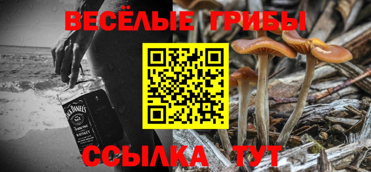 Отрадный  Галлюциногенные грибы MAGIC MUSHROOMS  Вход с VPN 