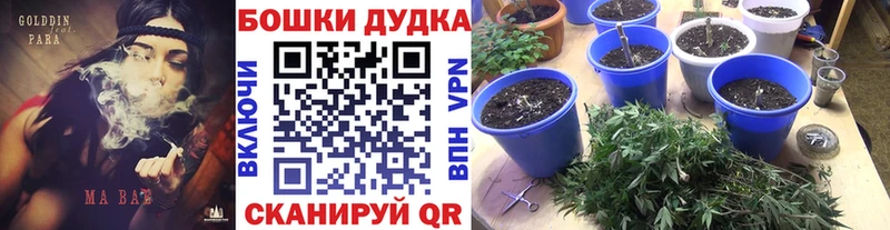 Бошки Шишки THC 21% Отрадный